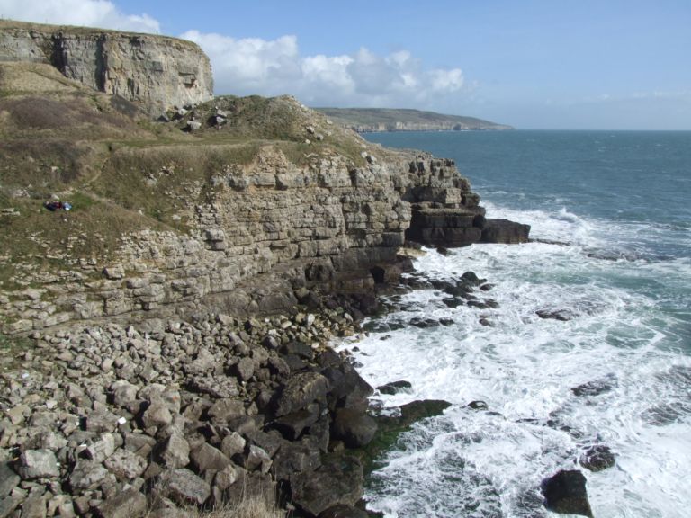 Habitat at Winspit Quarry